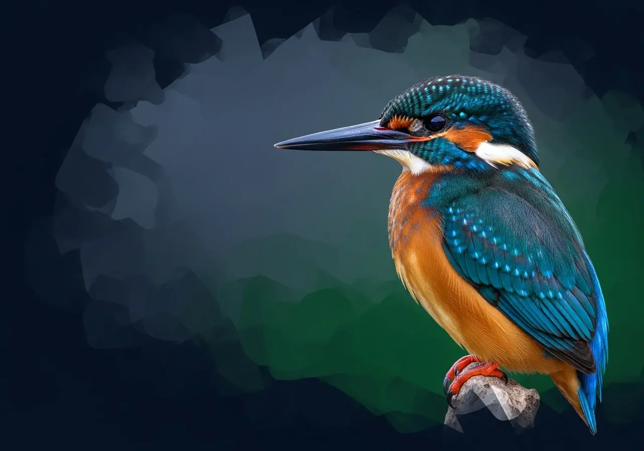 Blaugrauer Eisvogel (Todiramphus colonus)